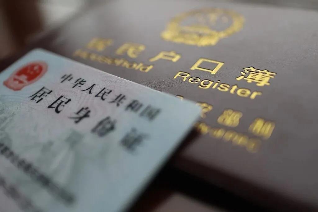 多种证件样本